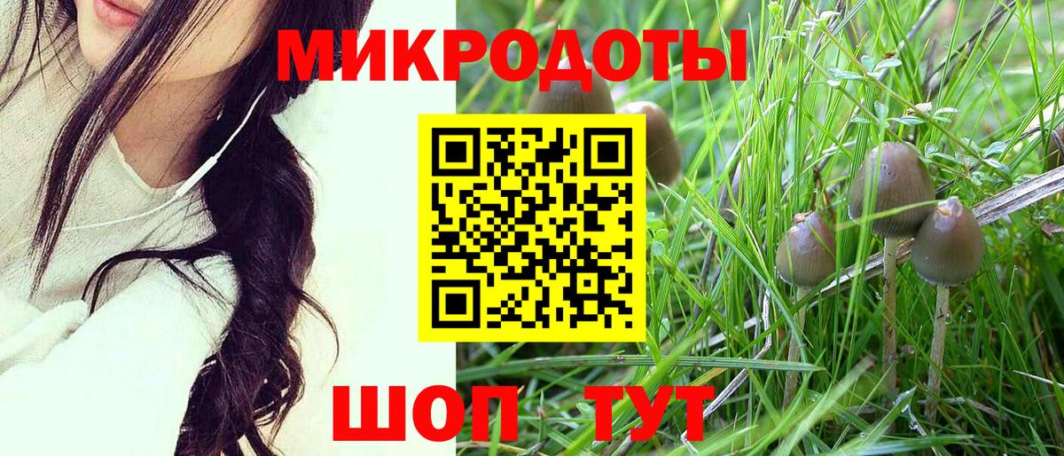 Галлюциногенные грибы Psilocybine cubensis  Вход с VPN  Светлоград 