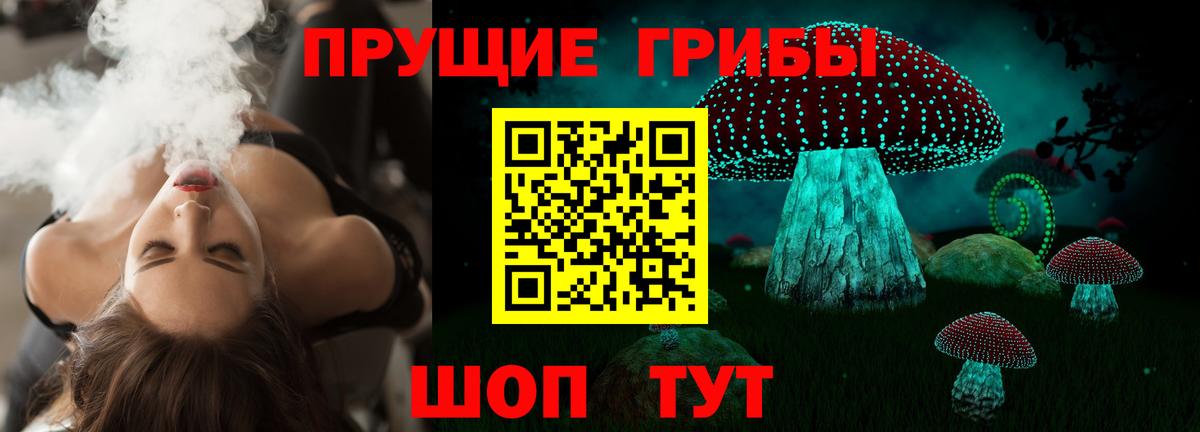 Псилоцибиновые грибы Psilocybe Светлоград